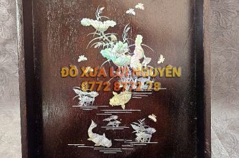 Khai trà gỗ gõ mật - 2