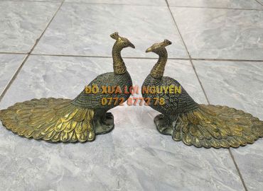 Cặp công chất liệu bằng đồng