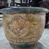 Chậu cổ gốm cây mai