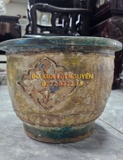 Chậu cổ gốm cây mai
