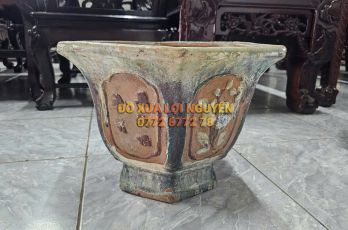 Chậu cổ gốm cây mai - 2
