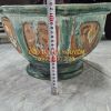 Chậu cổ gốm cây mai - 3