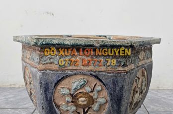 Chậu cổ gốm cây mai - 5