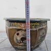 Chậu cổ gốm cây mai - 6