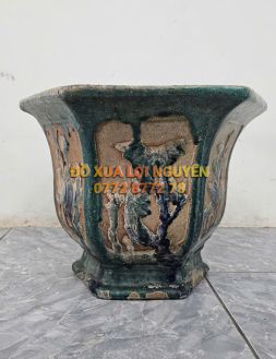 Chậu cổ gốm cây mai - 8