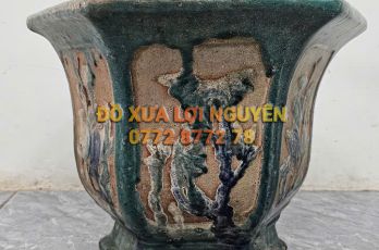 Chậu cổ gốm cây mai - 8