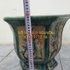 Chậu cổ gốm cây mai - 8