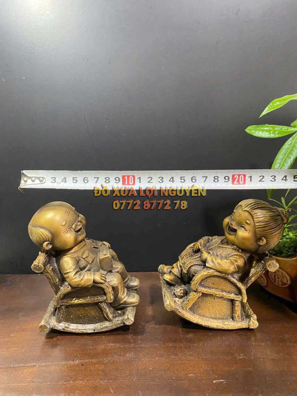 Bách niên giai lão, bằng đồng