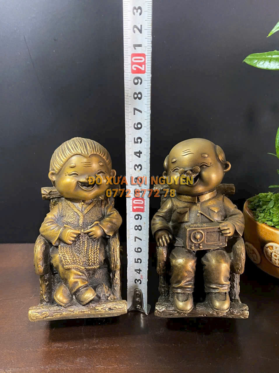 Bách niên giai lão, bằng đồng