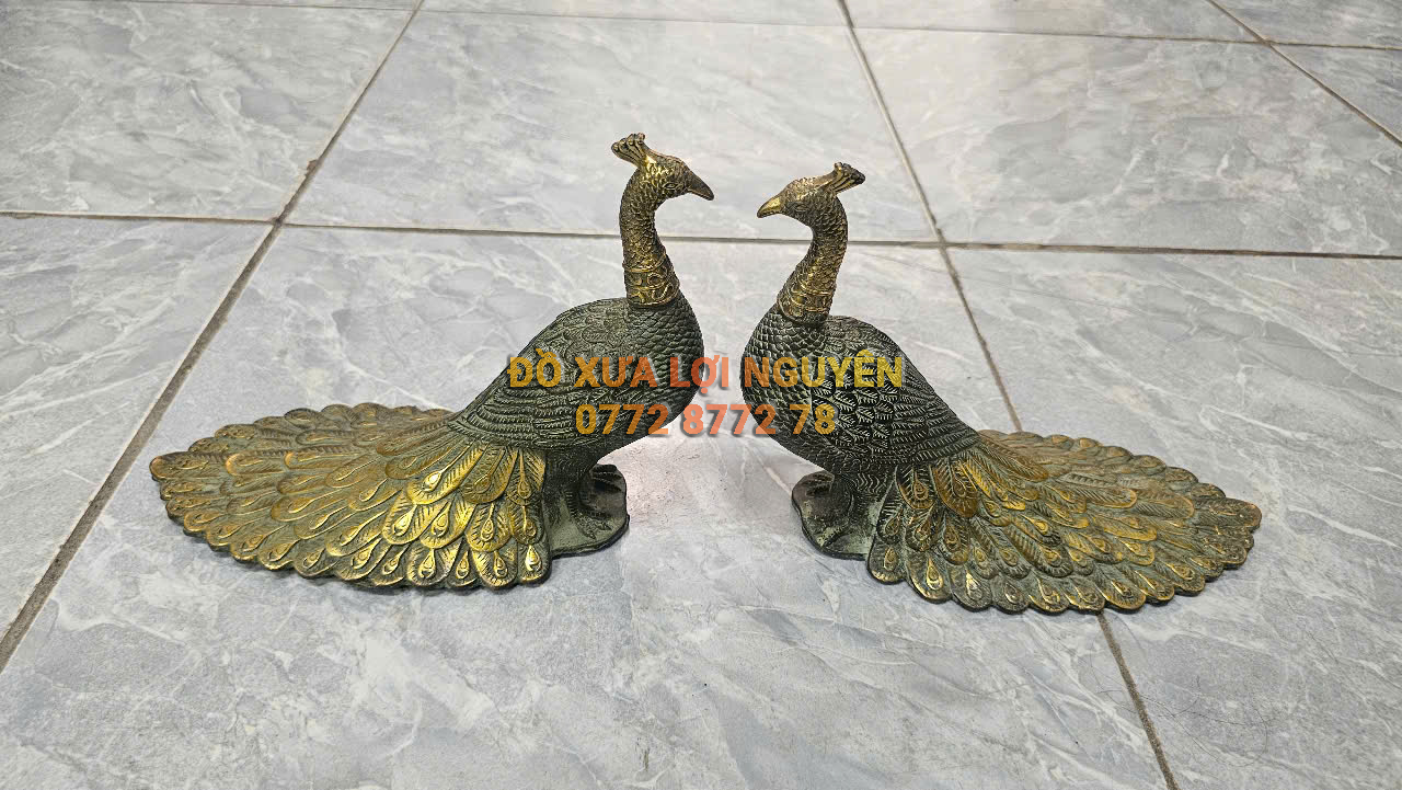 Cặp công chất liệu bằng đồng