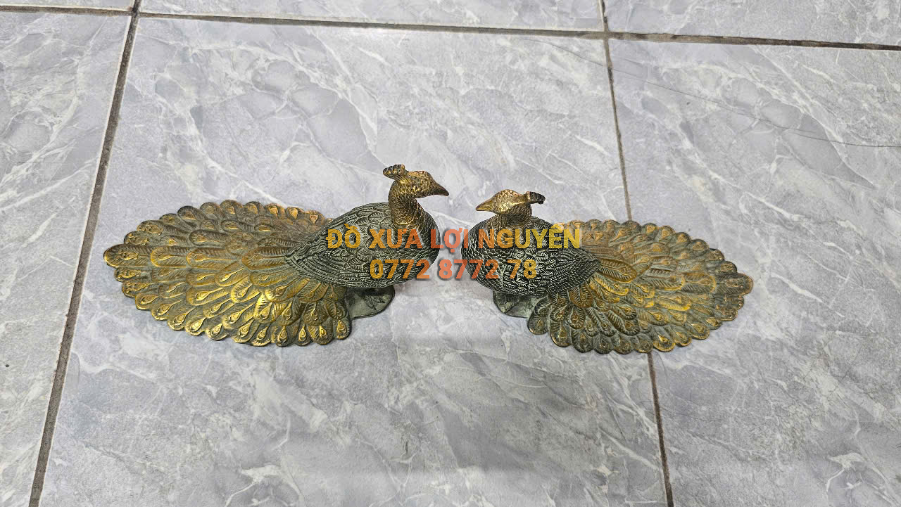 Cặp công chất liệu bằng đồng