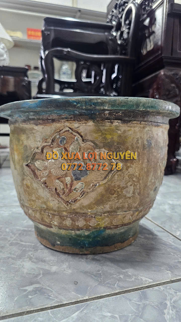 Chậu cổ gốm cây mai
