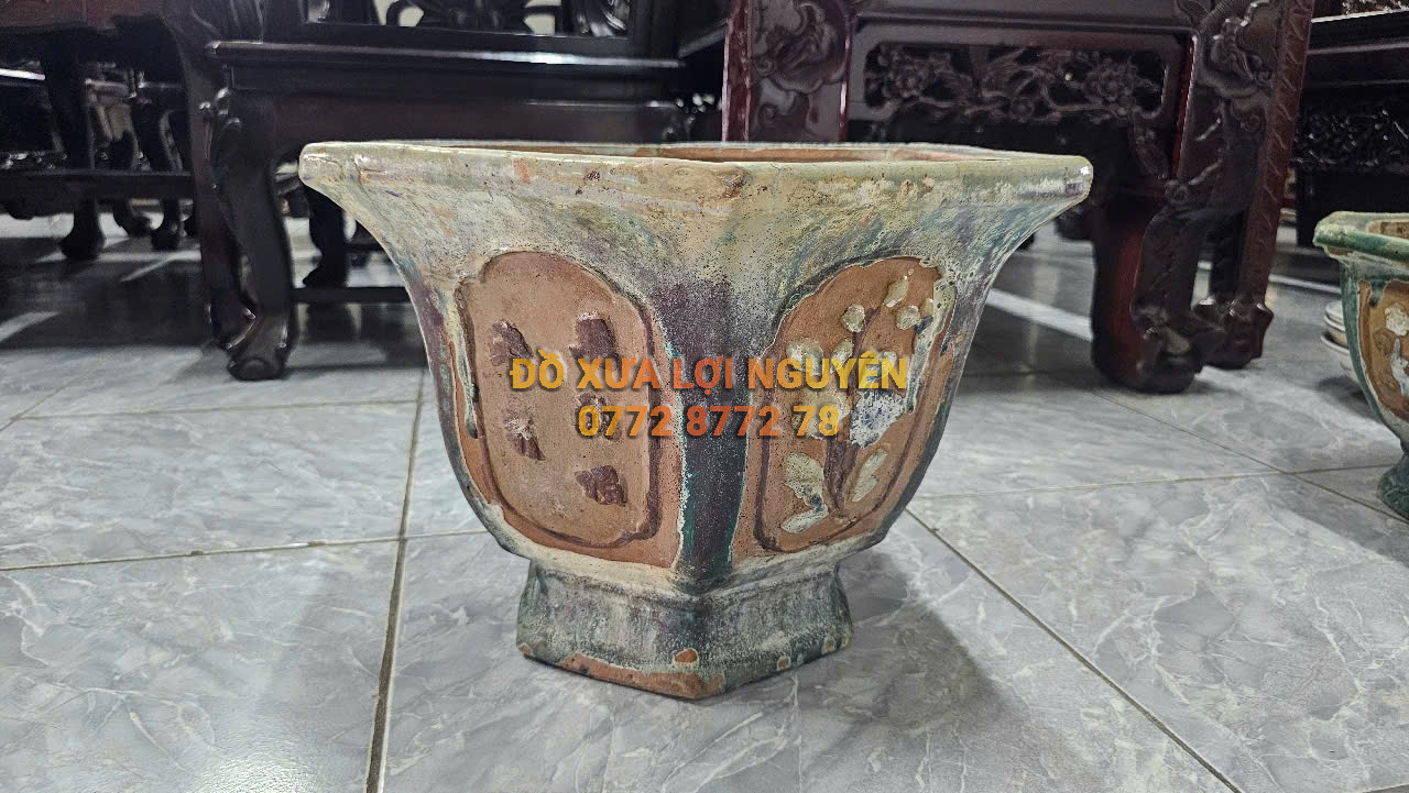 Chậu cổ gốm cây mai - 2