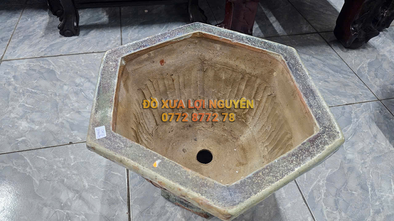 Chậu cổ gốm cây mai - 2