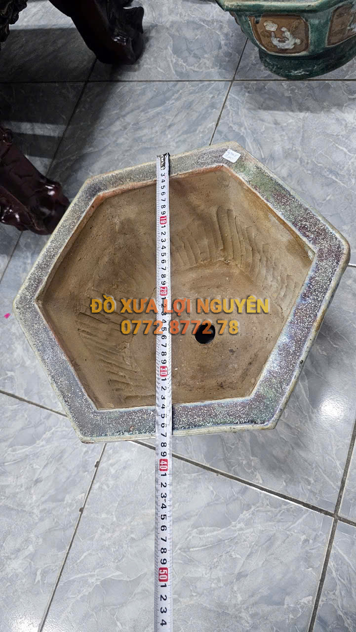 Chậu cổ gốm cây mai - 2