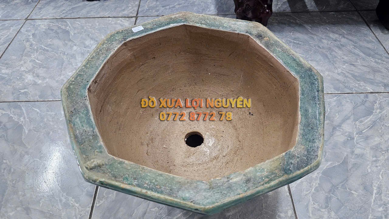 Chậu cổ gốm cây mai - 3