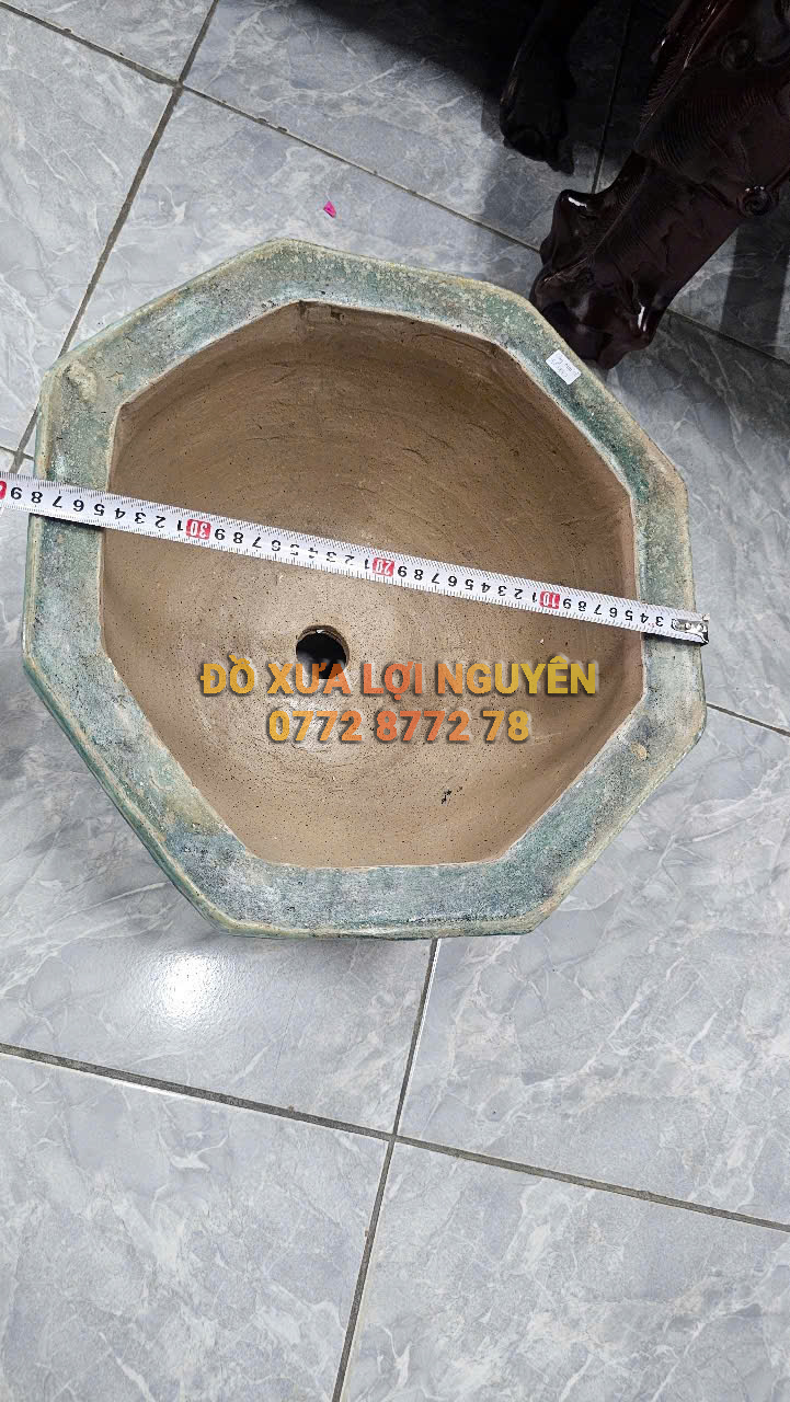 Chậu cổ gốm cây mai - 3
