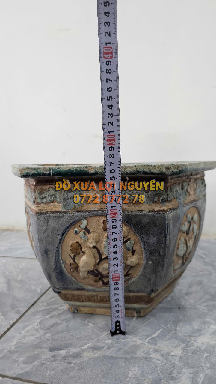 Chậu cổ gốm cây mai - 5