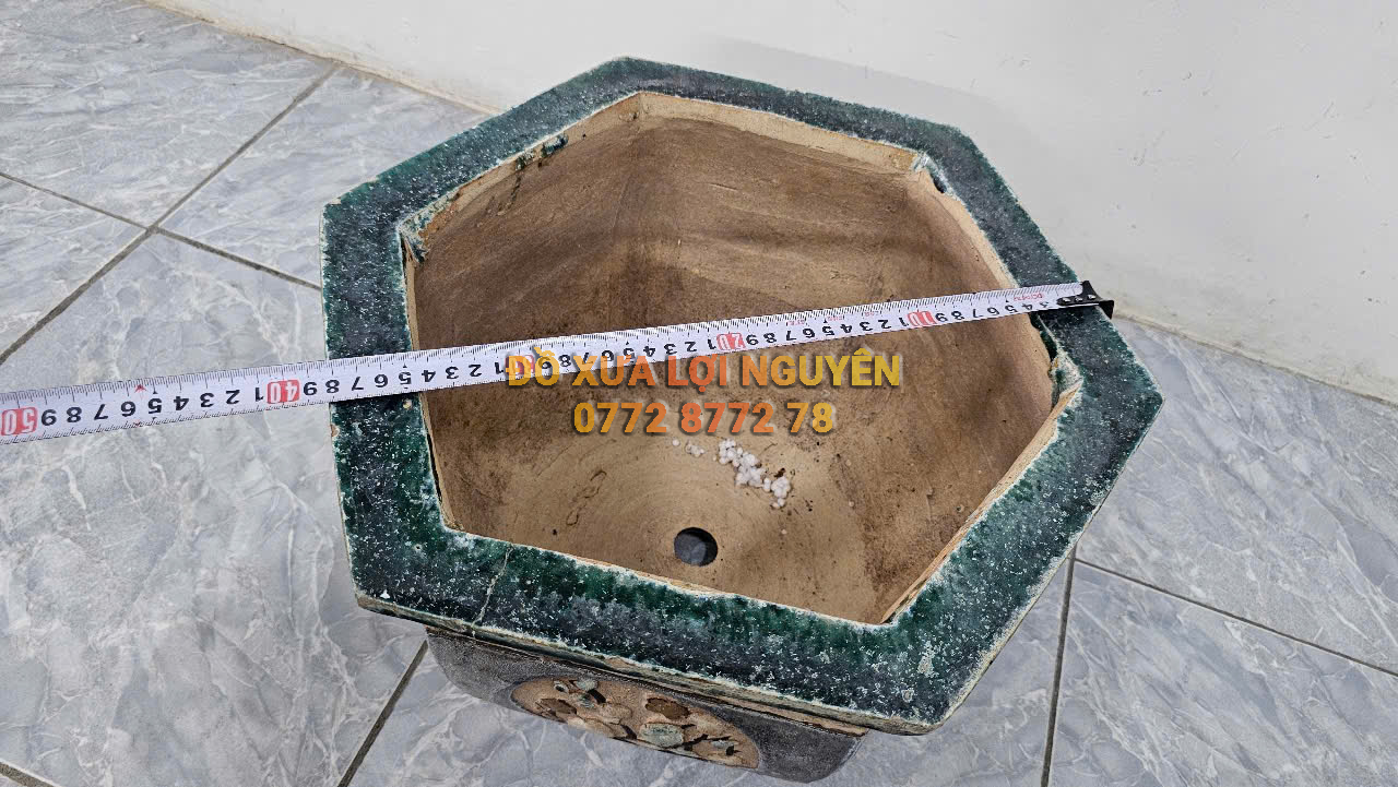 Chậu cổ gốm cây mai - 5