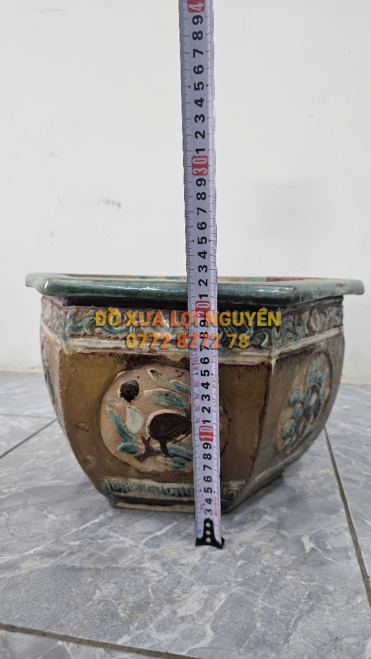 Chậu cổ gốm cây mai - 6