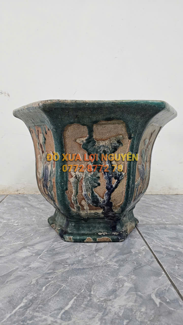 Chậu cổ gốm cây mai - 8