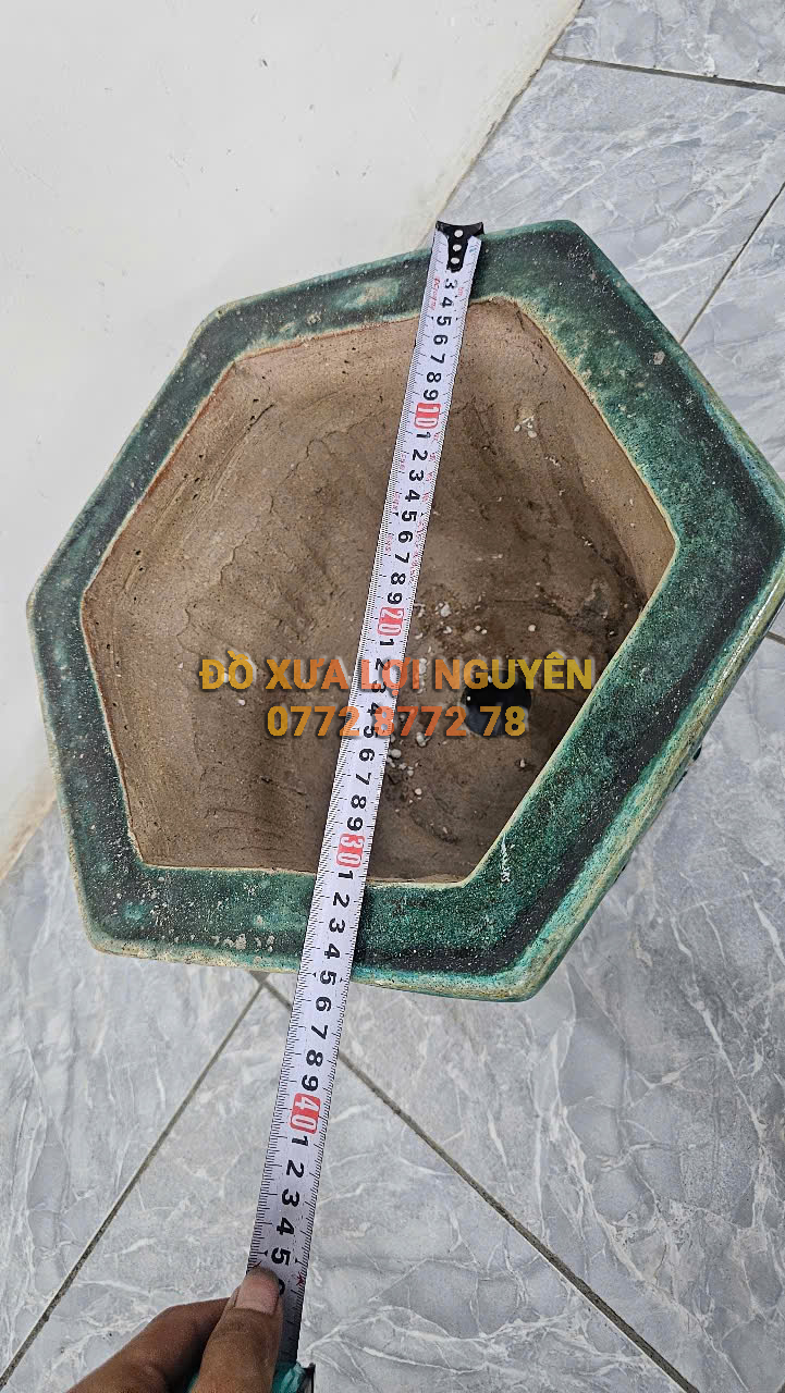 Chậu cổ gốm cây mai - 8