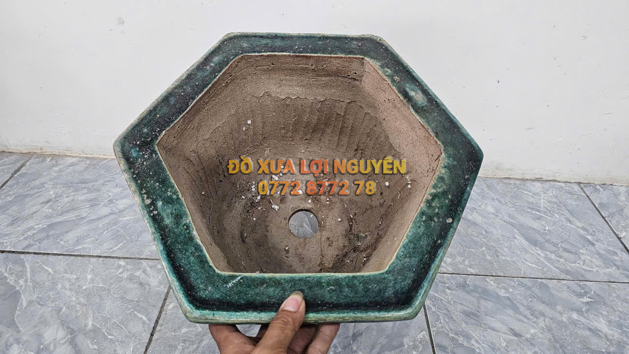 Chậu cổ gốm cây mai - 8