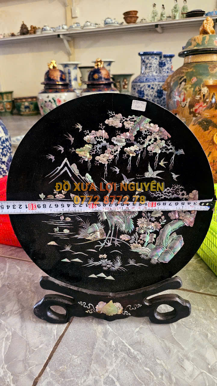 Dĩa tranh tích tùng hạt, gỗ gõ mật